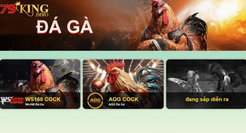 đá gà cựa dao đá gà cựa dao